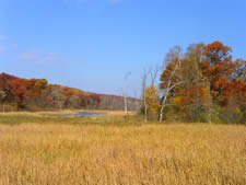 Wild River State Park